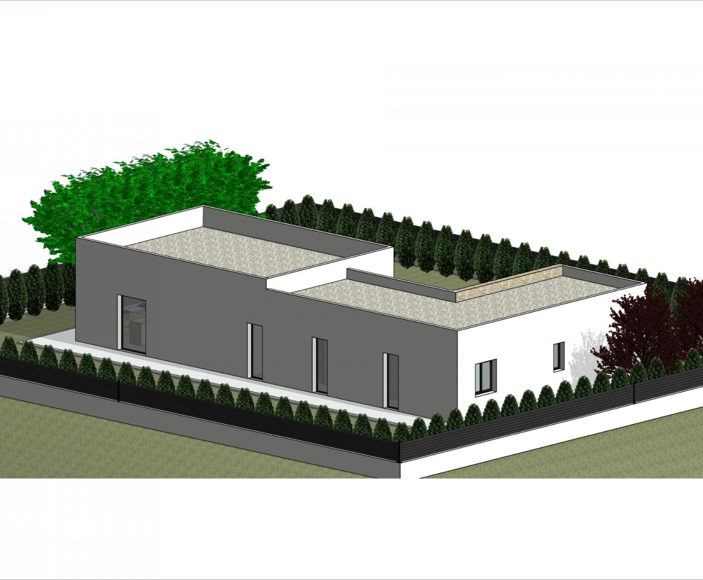 New Build - Villa - Pinoso - Costa Blanca South - Inland