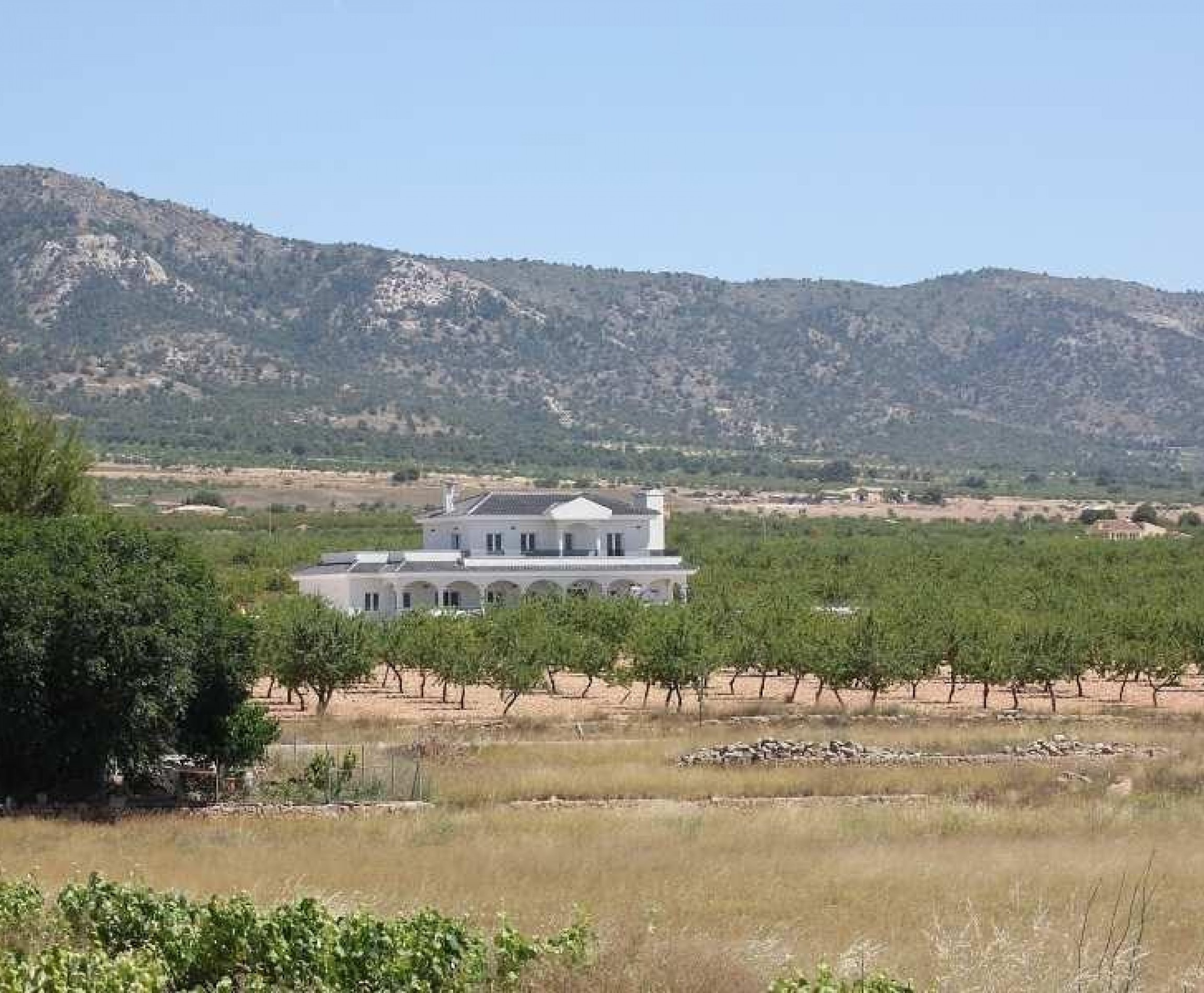 New Build - Villa - Pinoso - Costa Blanca South - Inland