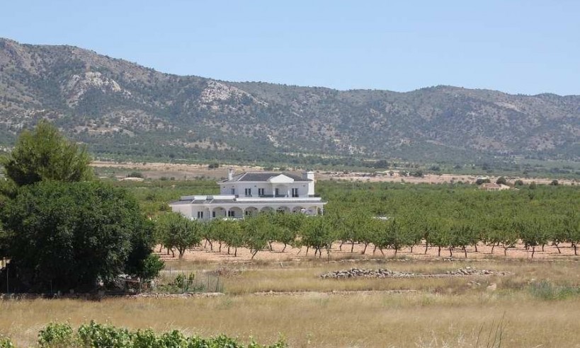 Nueva construcción  - Villa - Pinoso - Costa Blanca South - Inland