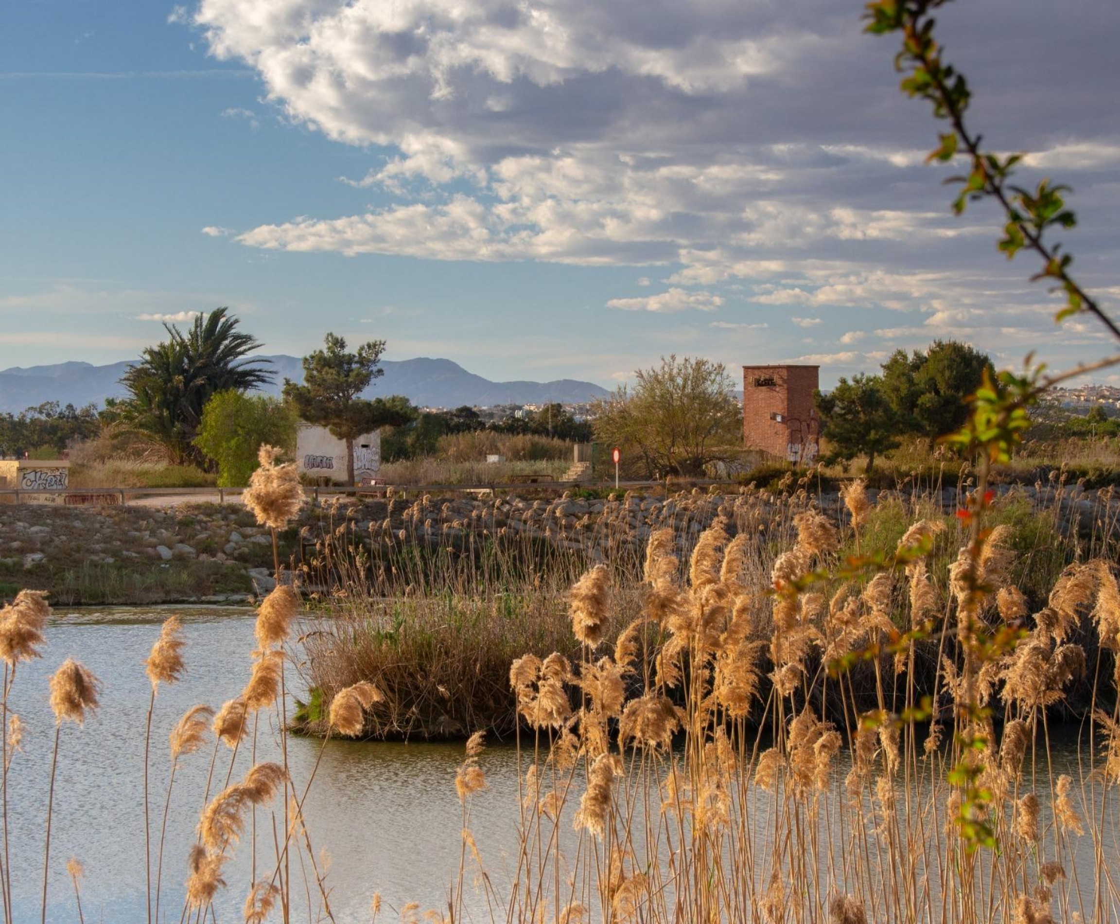 Nueva construcción  - Bungaló - Guardamar del Segura - Costa Blanca South