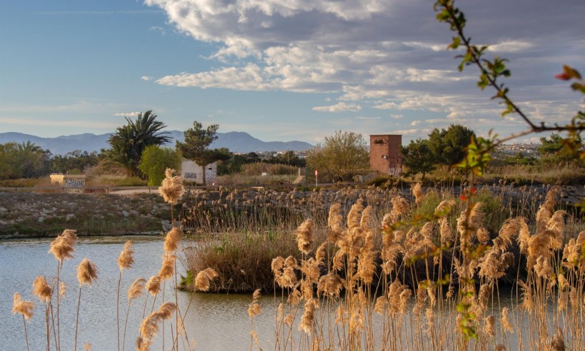 Nueva construcción  - Bungaló - Guardamar del Segura - Costa Blanca South