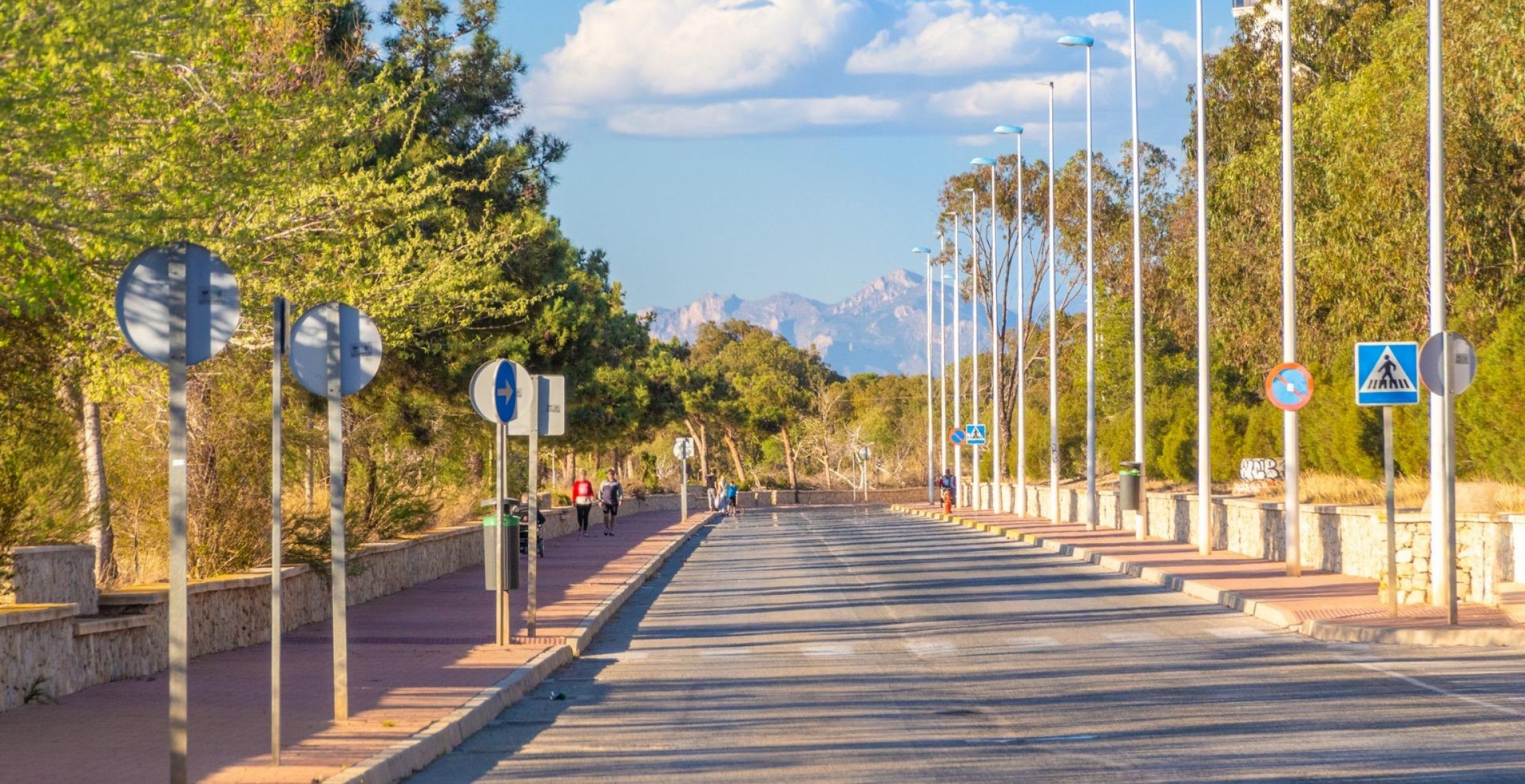 Nueva construcción  - Bungaló - Guardamar del Segura - Costa Blanca South