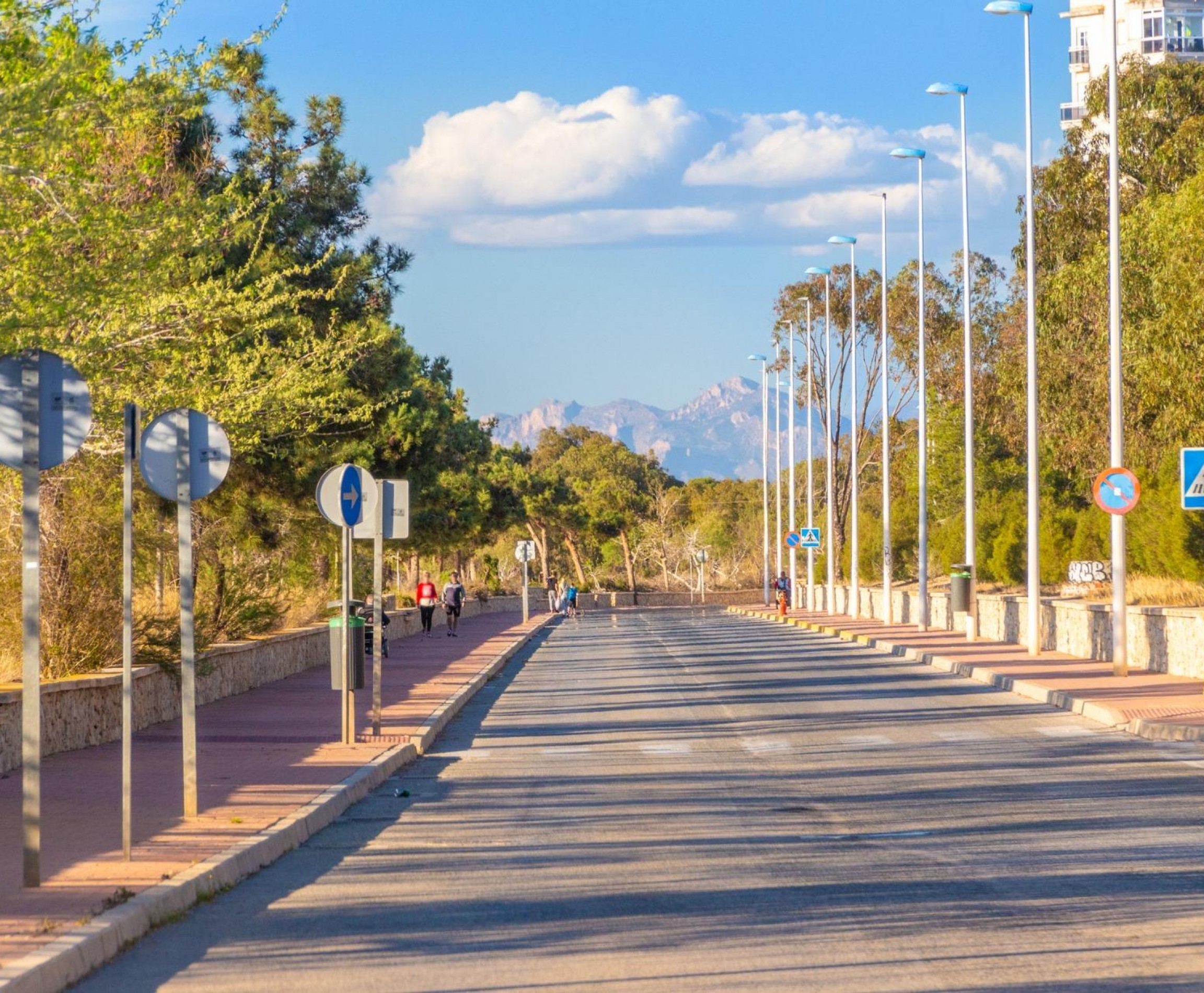 Nueva construcción  - Bungaló - Guardamar del Segura - Costa Blanca South