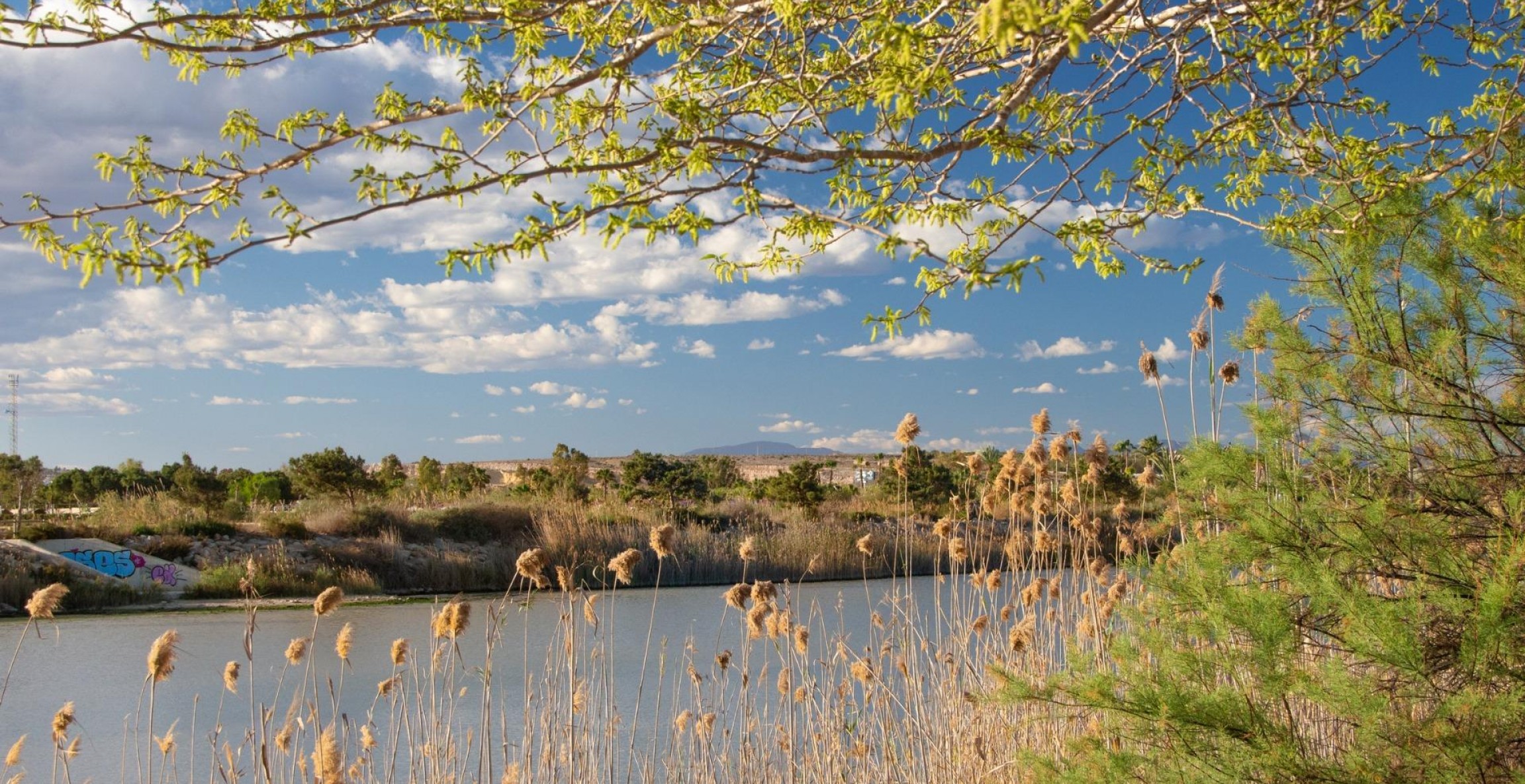 Nueva construcción  - Bungaló - Guardamar del Segura - Costa Blanca South