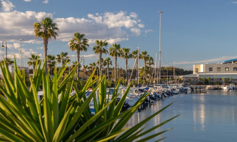 Nueva construcción  - Bungaló - Guardamar del Segura - Costa Blanca South