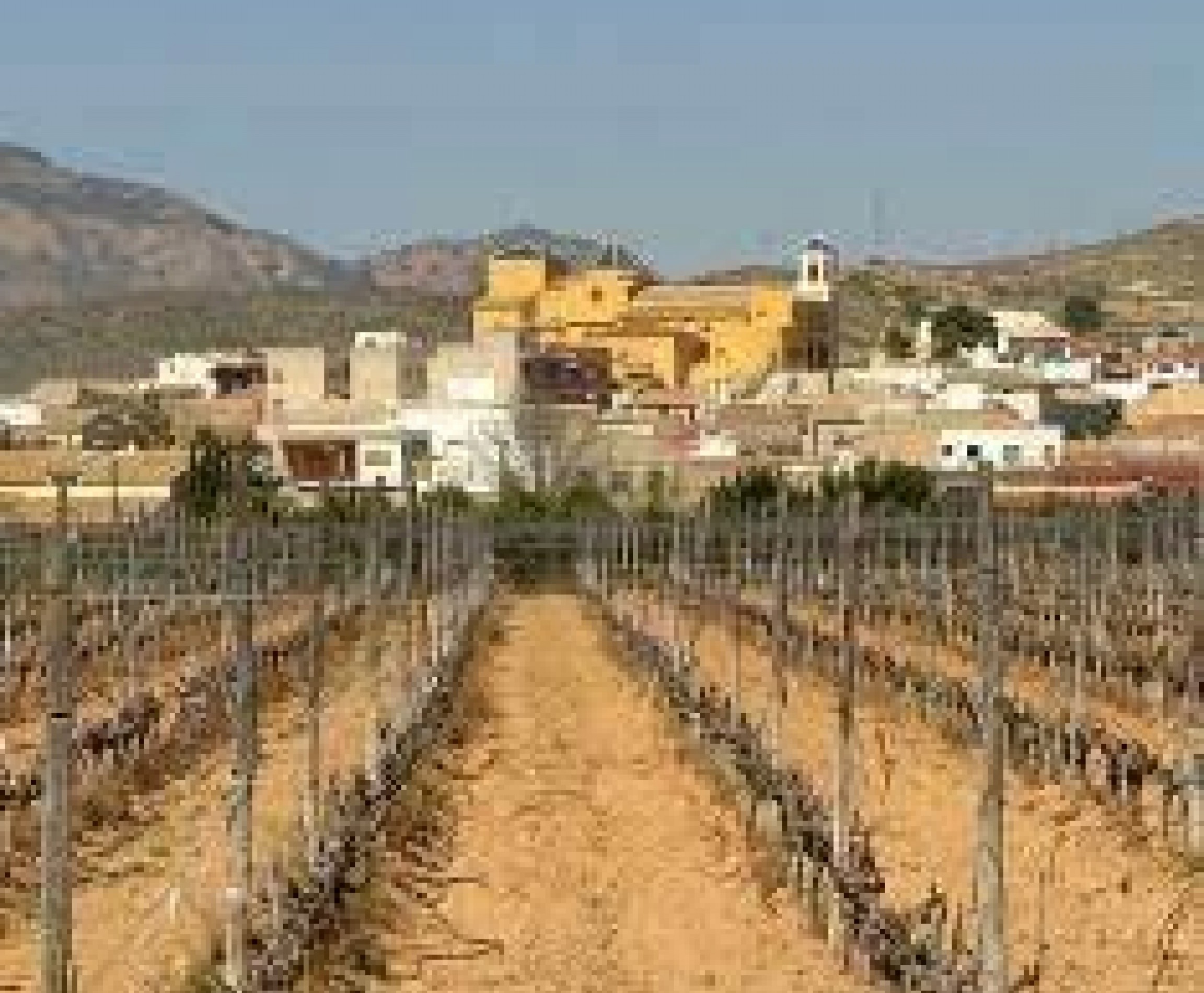 Nybyggnation - Bungalow - Hondon de las Nieves - Costa Blanca South - Inland