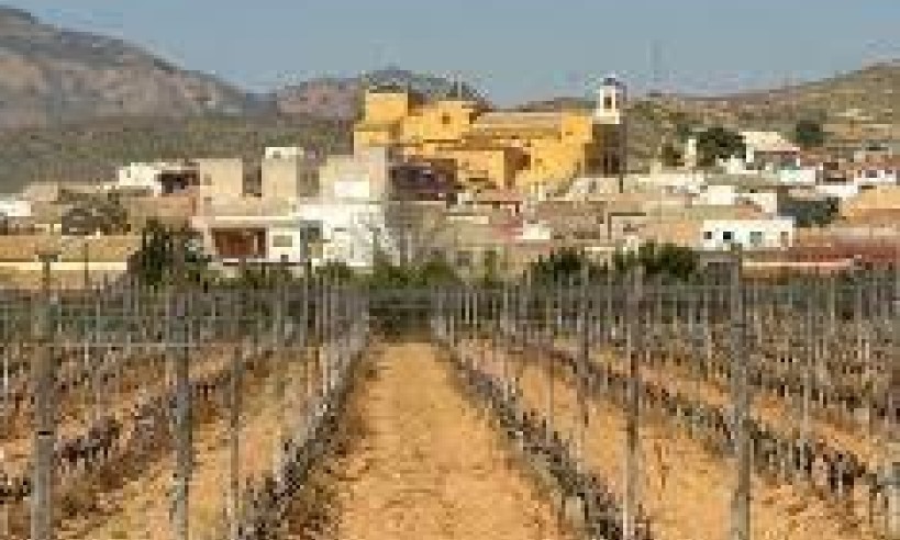 Nybyggnation - Bungalow - Hondon de las Nieves - Costa Blanca South - Inland