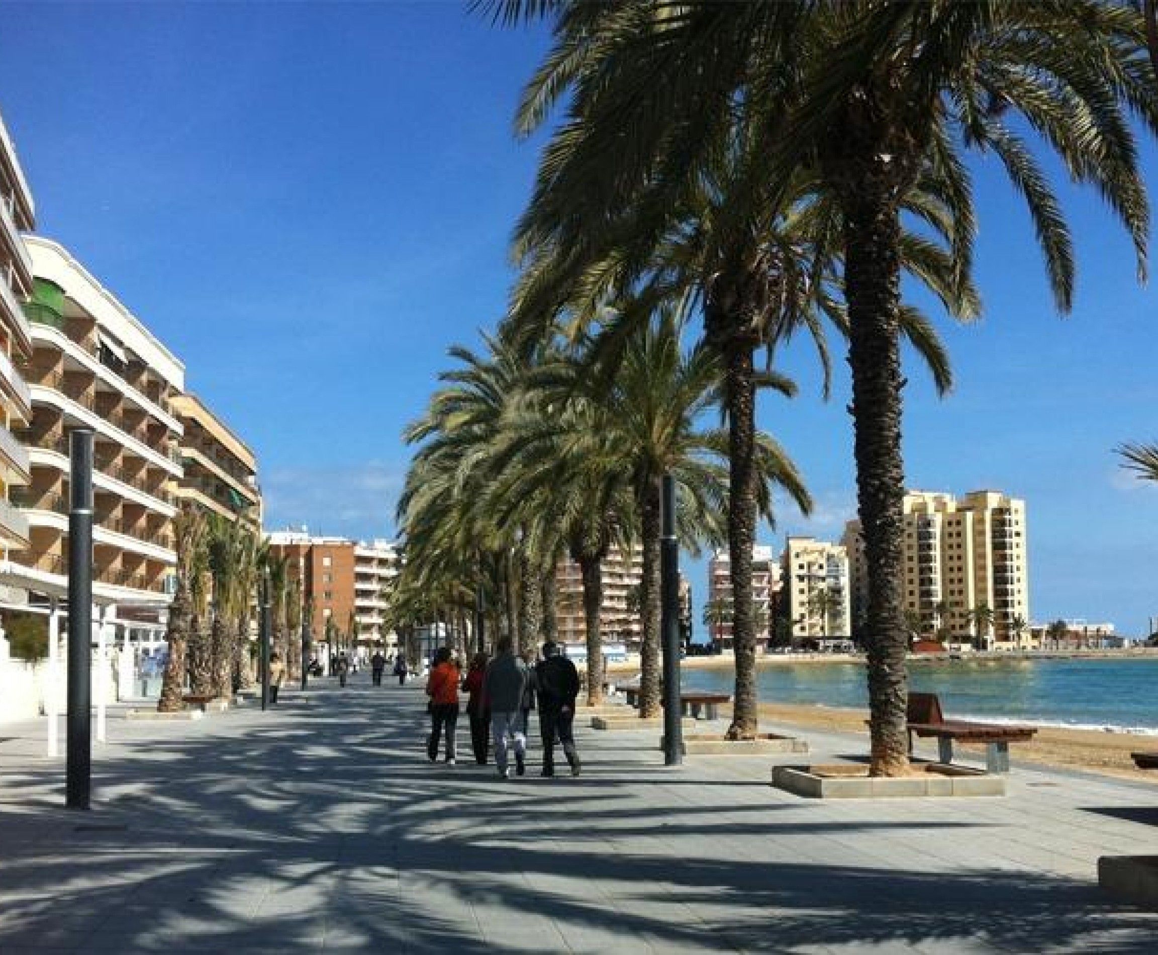 New Build - Apartment - Torrevieja - Costa Blanca South