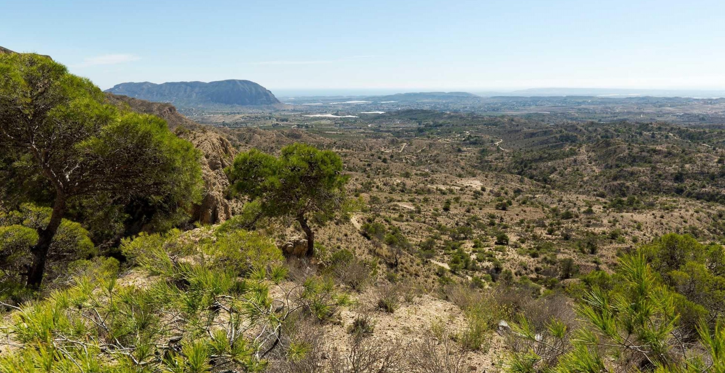 Nueva construcción  - Villa - Aspe - Costa Blanca North - Inland