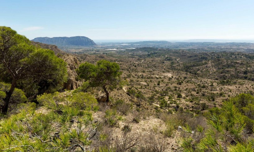 Nybyggnation - Villa - Aspe - Costa Blanca North - Inland