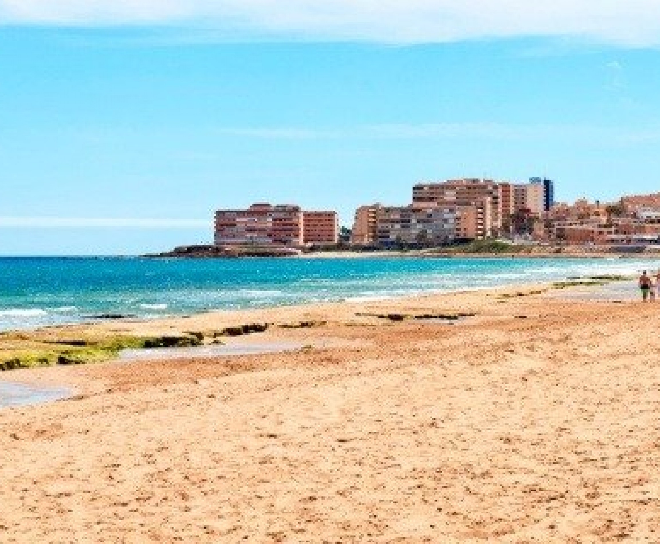 Nybyggnation - Villa - Torrevieja - Costa Blanca South