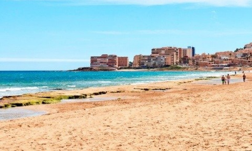 Nybyggnation - Villa - Torrevieja - Costa Blanca South