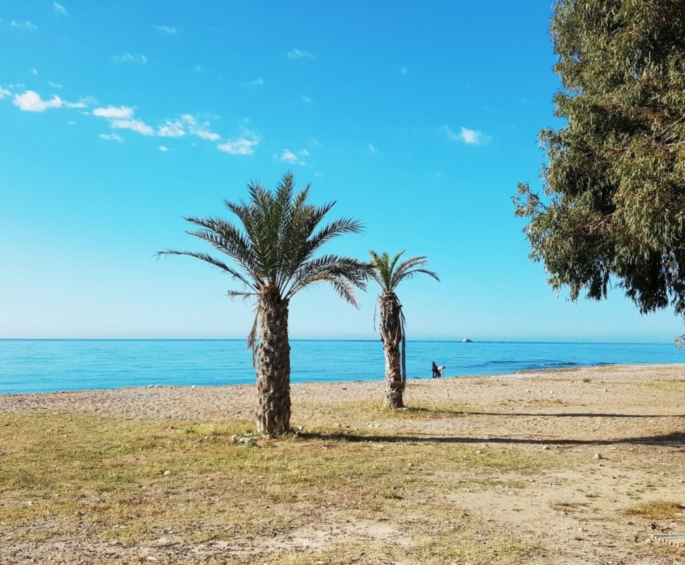 Nueva construcción  - Apartment - Villajoyosa - Costa Blanca North