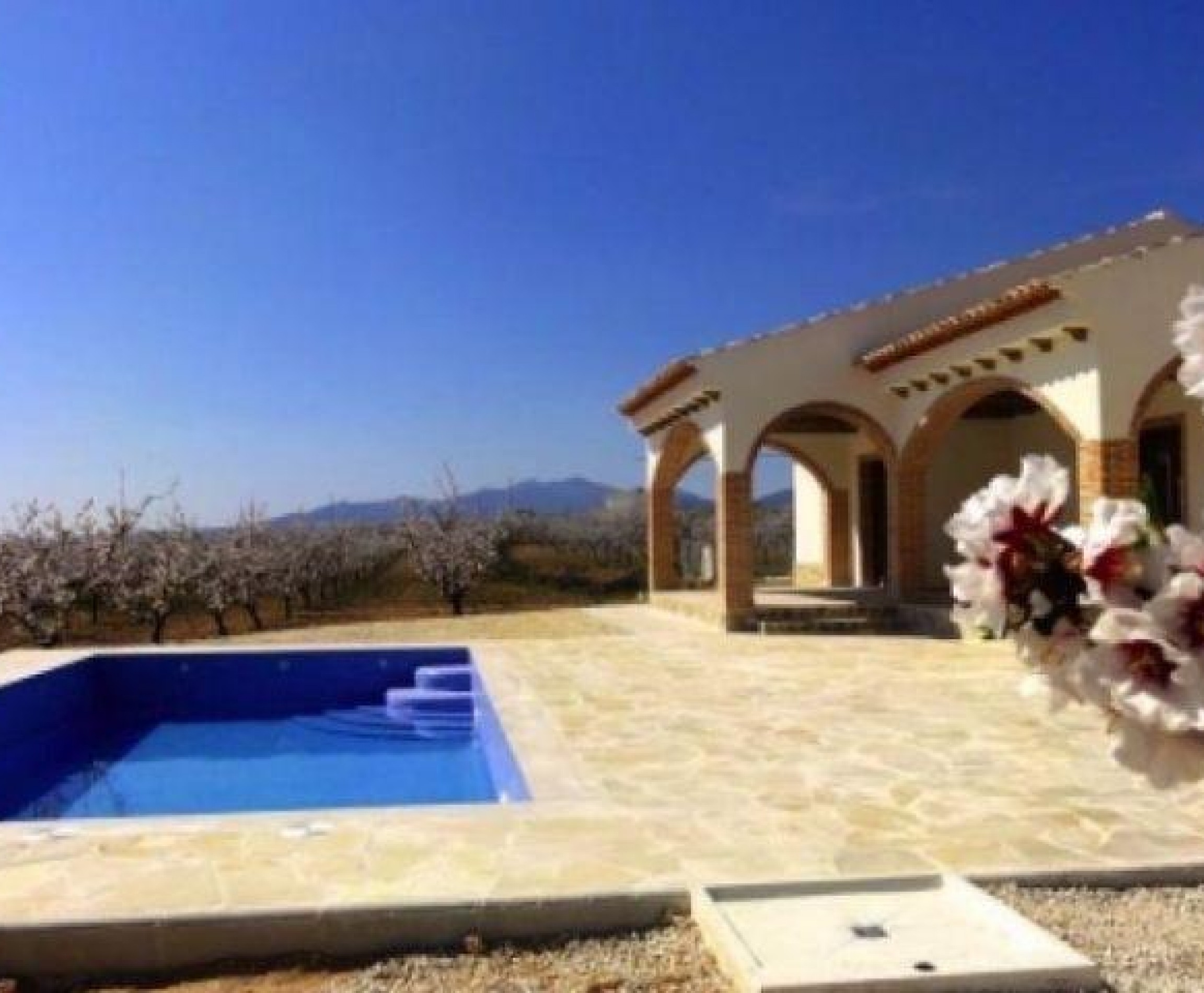 New Build - Villa - Pinoso - Costa Blanca South - Inland