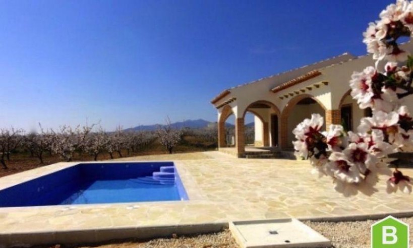 New Build - Villa - Pinoso - Costa Blanca South - Inland