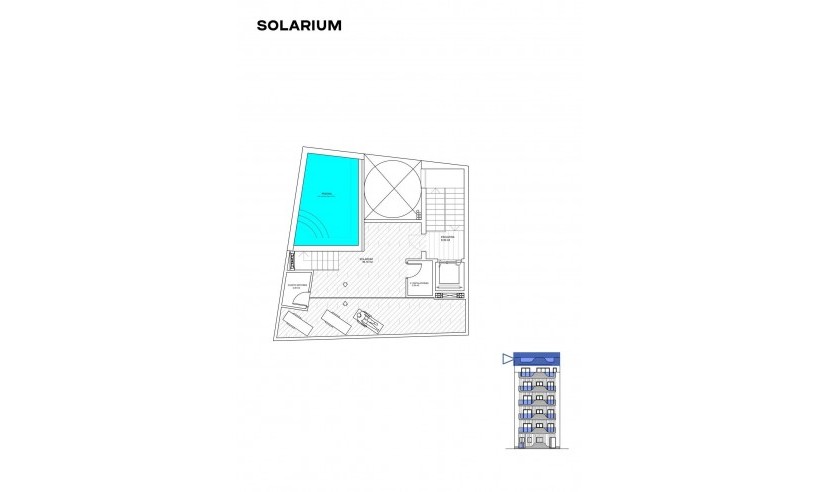 New Build - Apartment - Torrevieja - Costa Blanca South