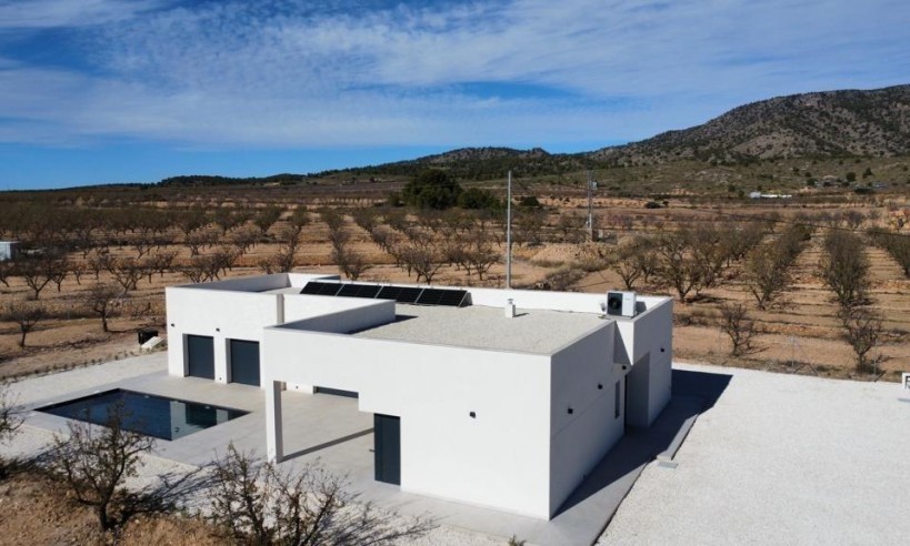 Nueva construcción  - Villa - Pinoso - Campo