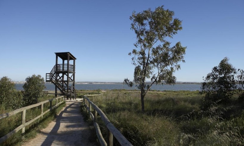 Nueva construcción  - Bungaló - Torrevieja - Altos del Sol