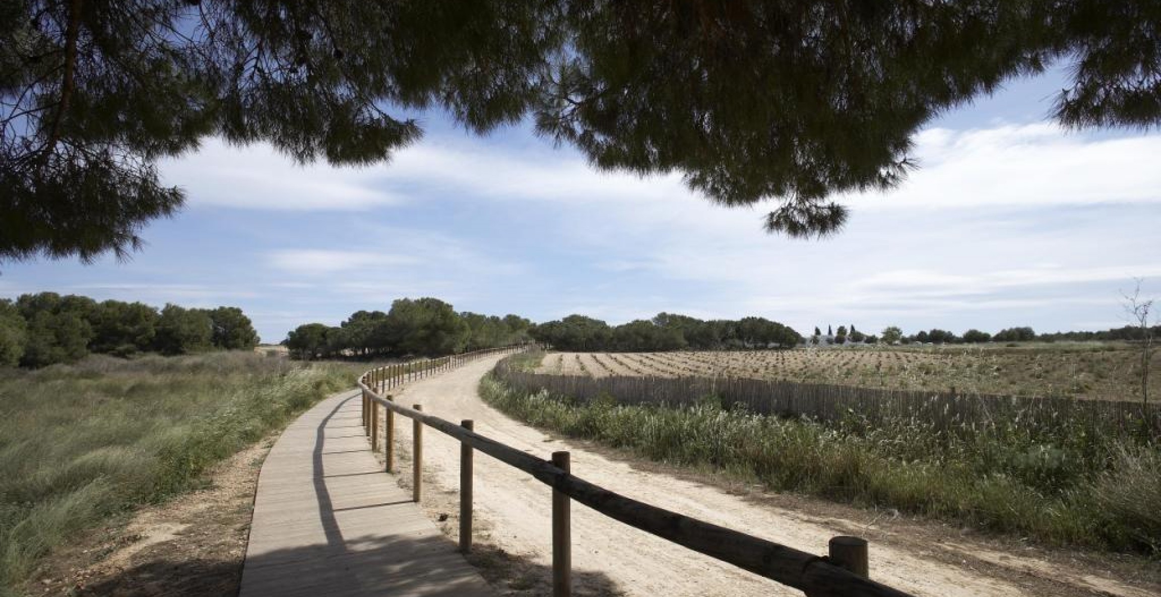 Nueva construcción  - Bungaló - Torrevieja - Altos del Sol