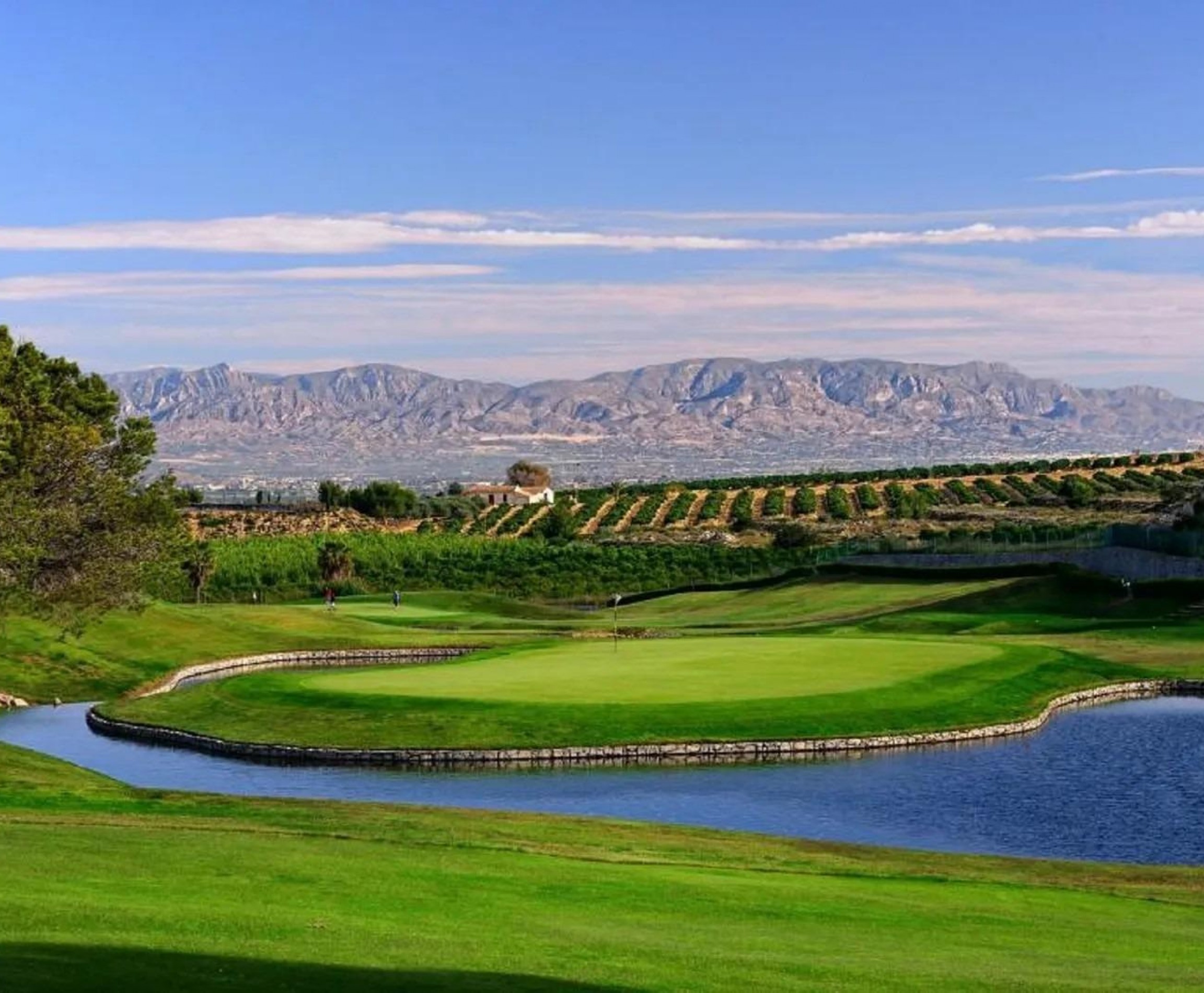 Nybyggnation - Villa - Algorfa - La Finca Golf