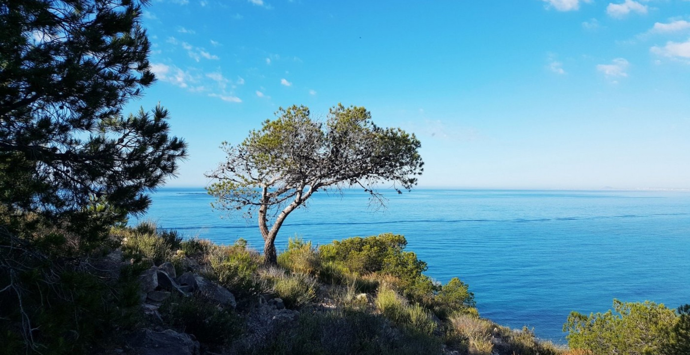 Nueva construcción  - Apartment - Villajoyosa - Playa Les Torres