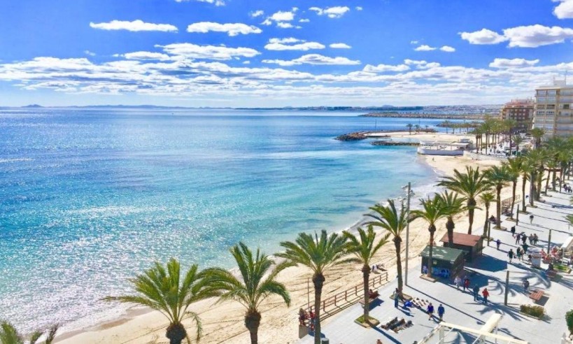 Nueva construcción  - Bungaló - Torrevieja - Lago Jardín II