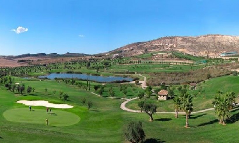 Nueva construcción  - Villa - Algorfa - El Campo de Golf La Finca