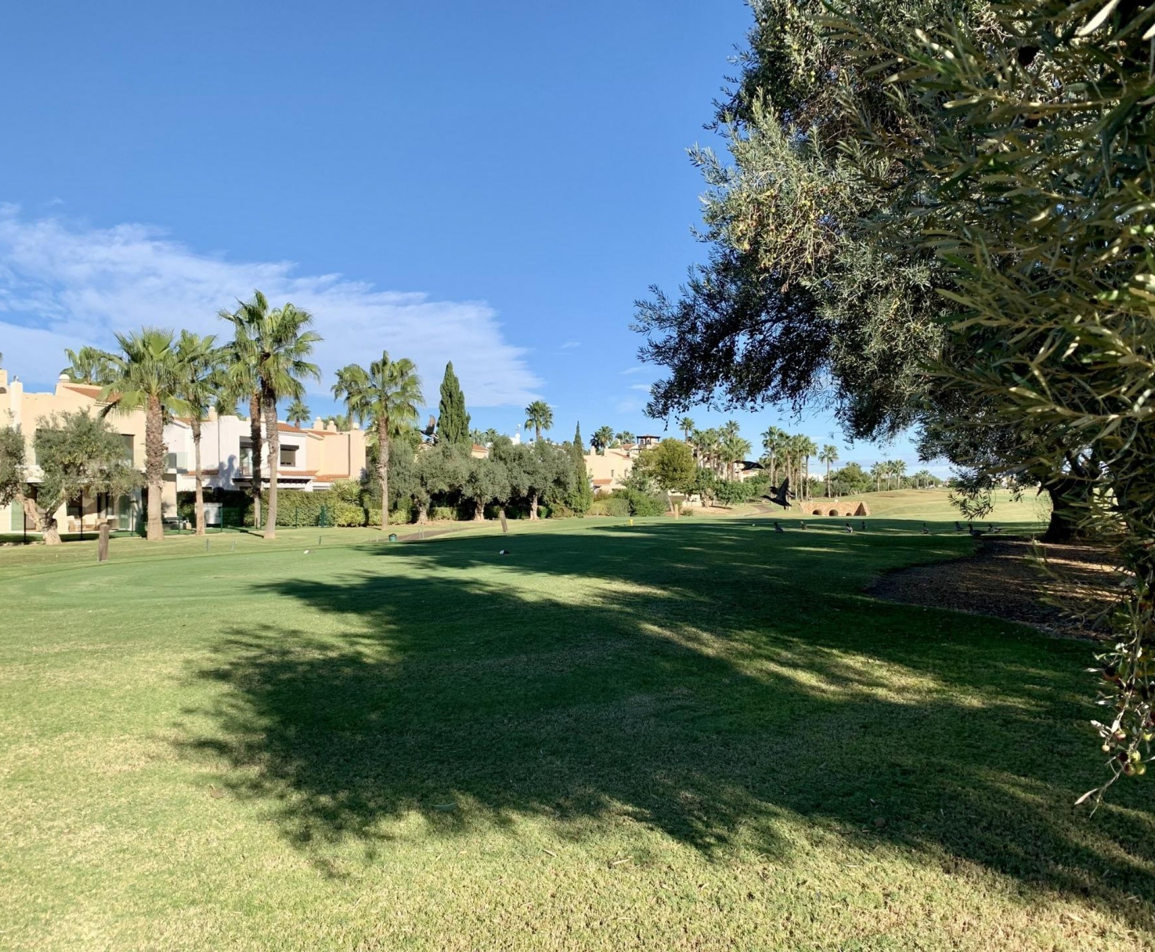 Nybyggnation - Bungalow - San Javier - Roda Golf