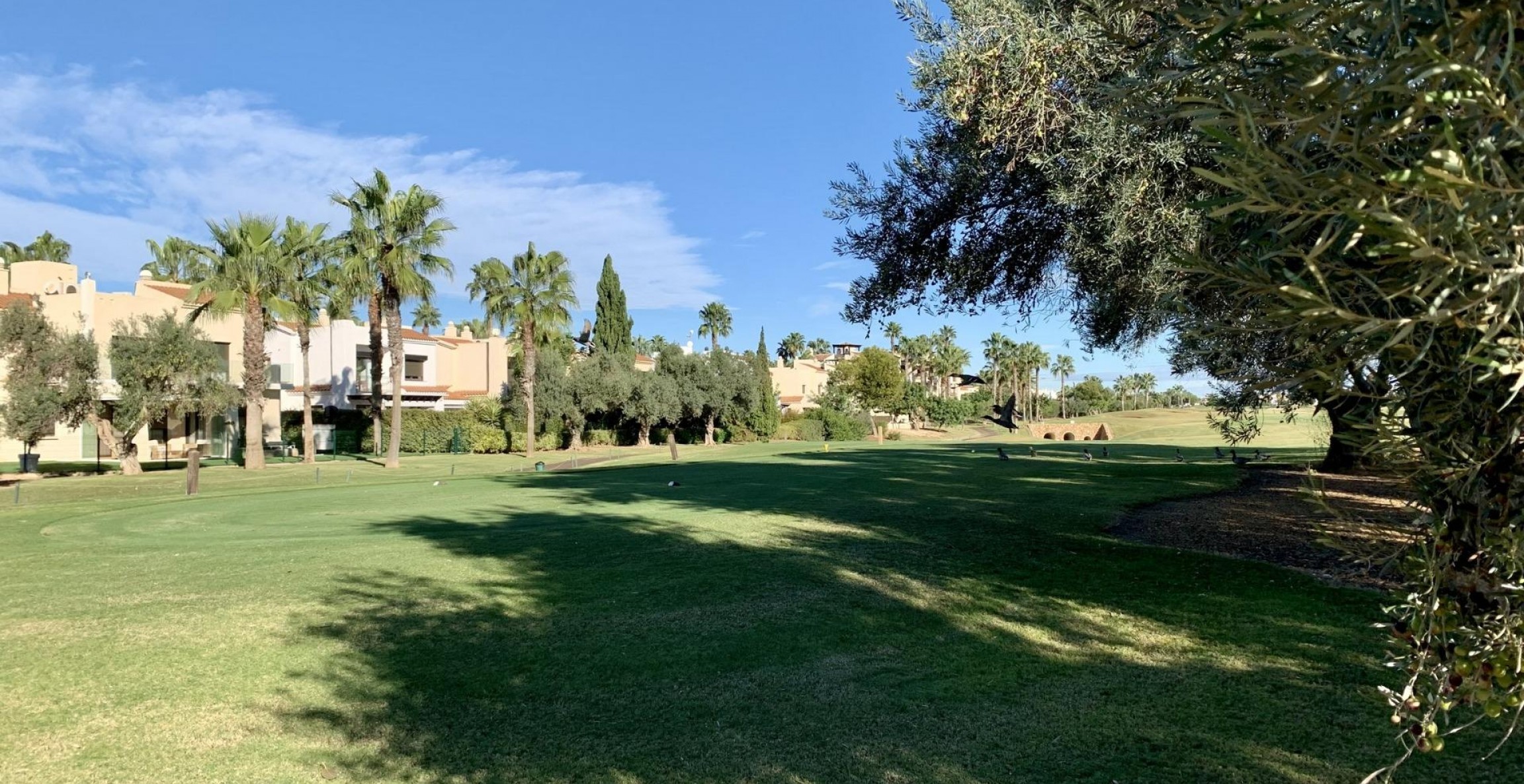 Nueva construcción  - Bungaló - San Javier - Roda Golf