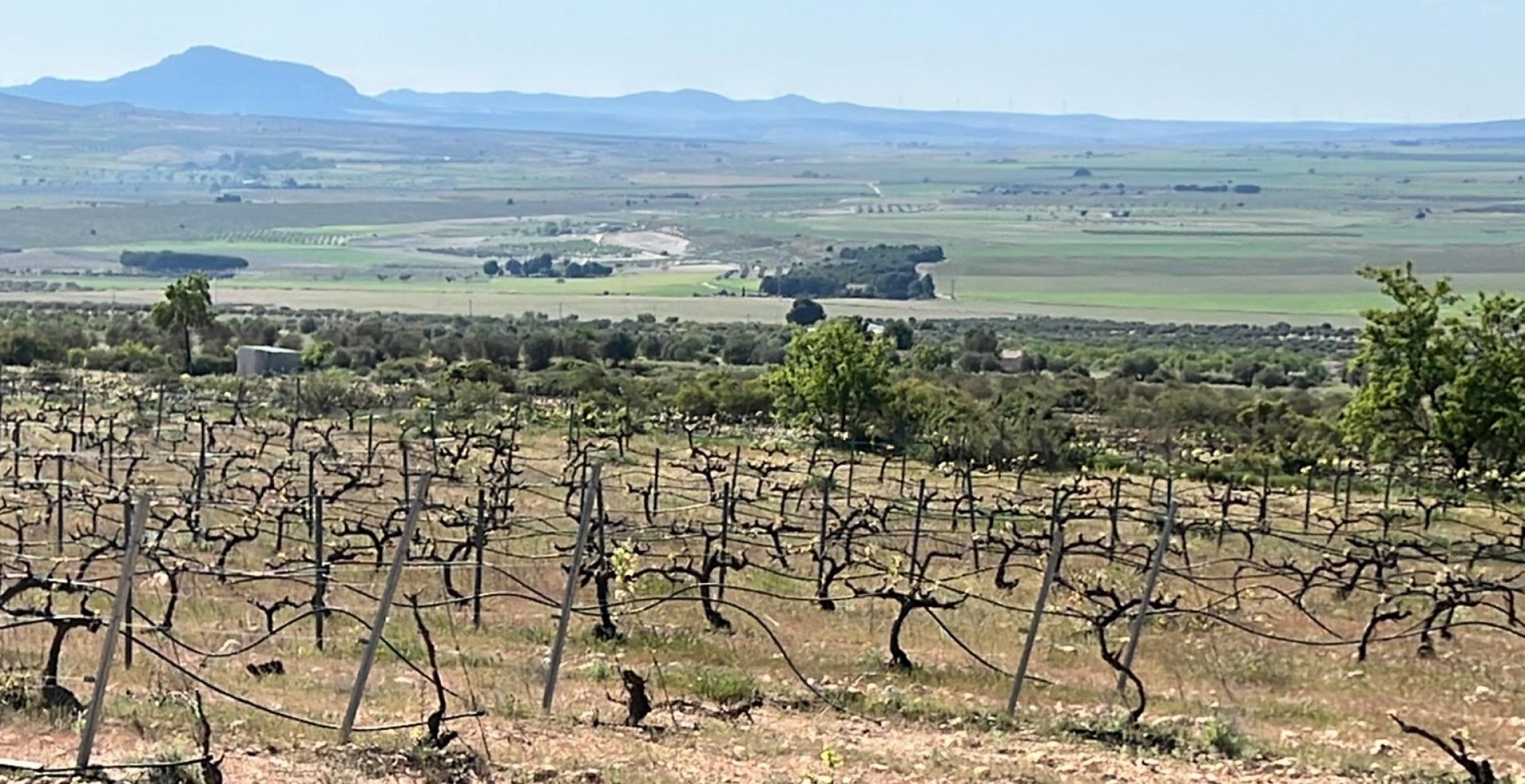 New Build - Villa - Yecla