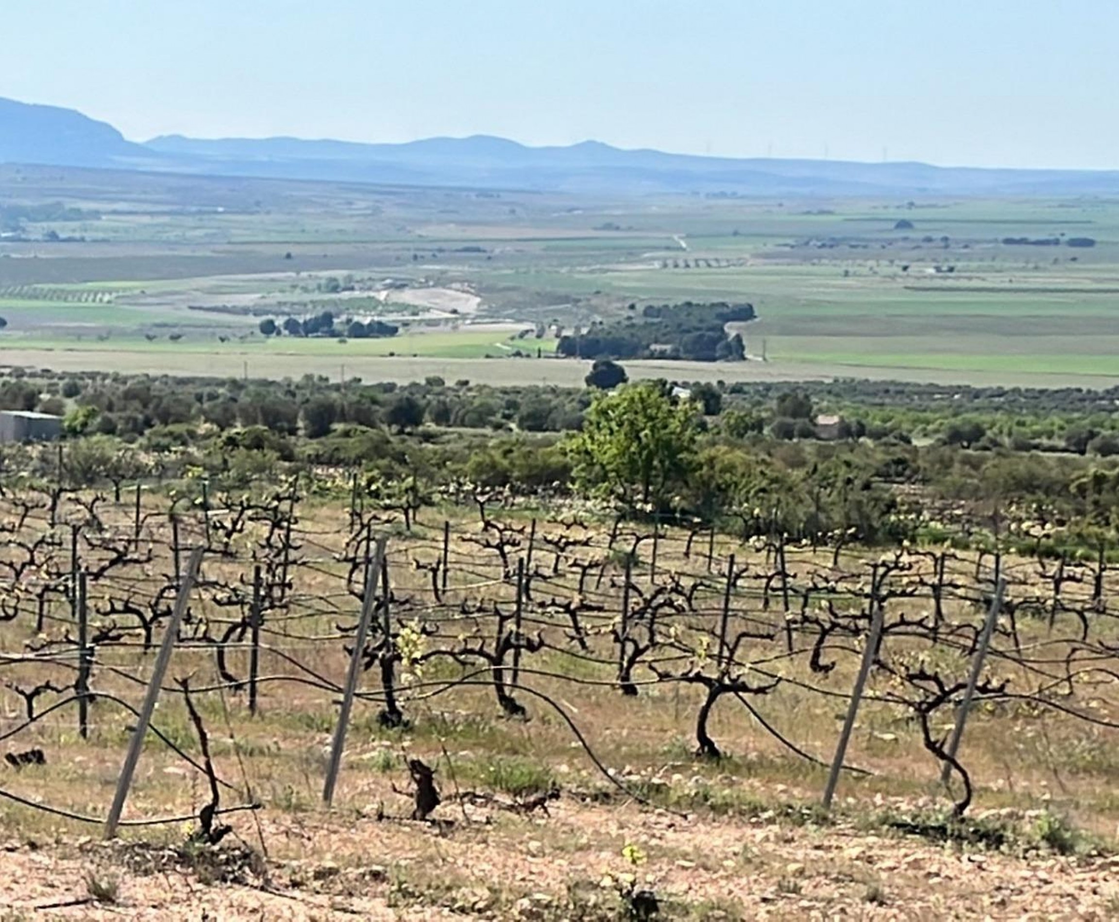 New Build - Villa - Yecla