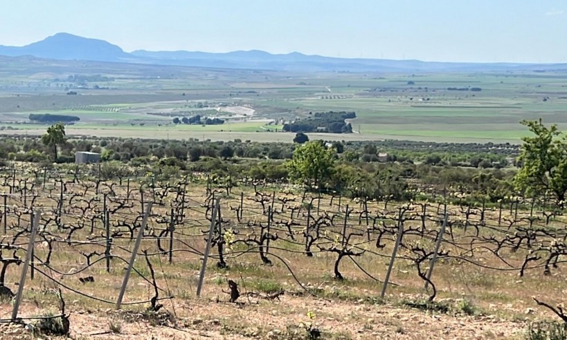 New Build - Villa - Yecla