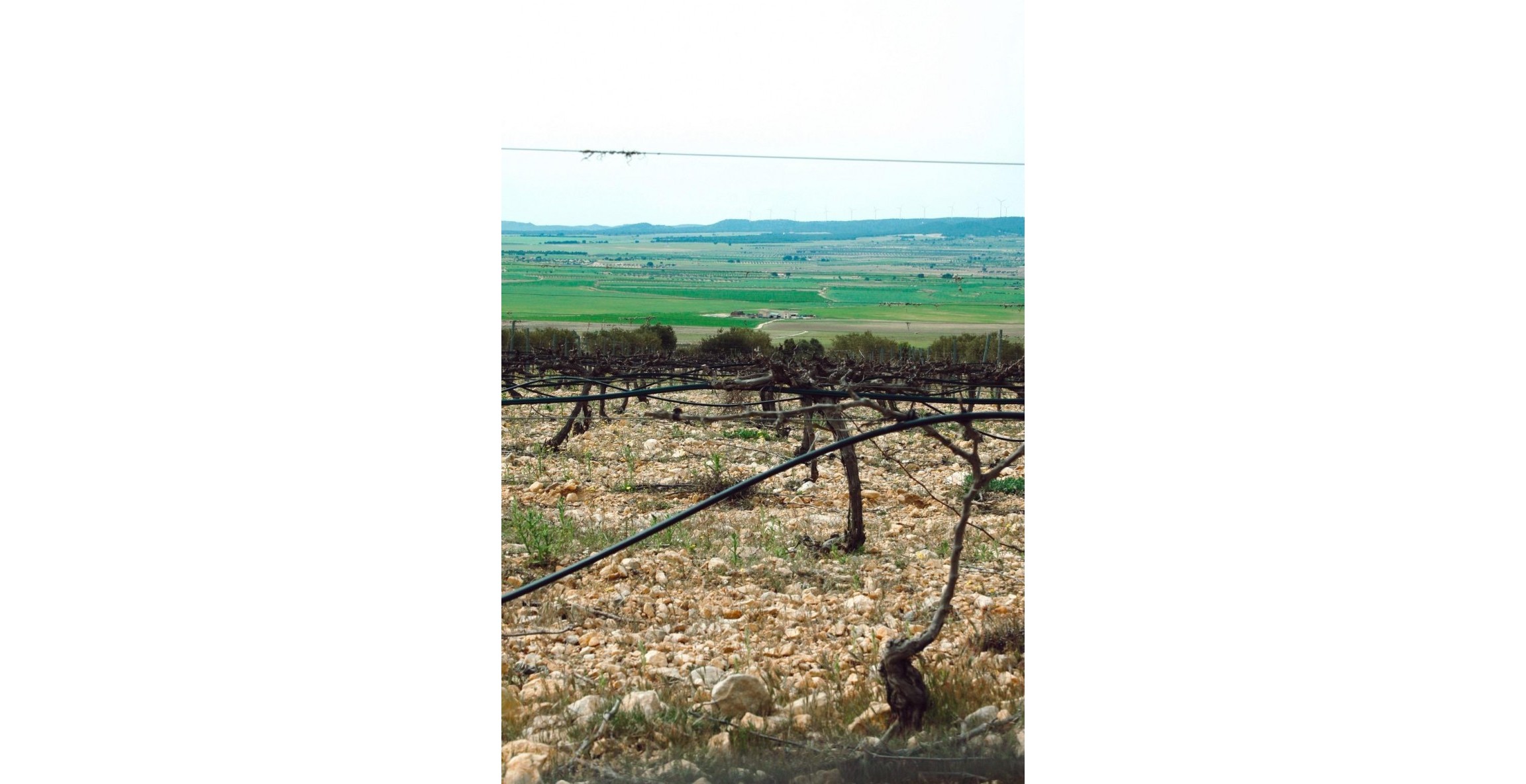 Nueva construcción  - Villa - Yecla