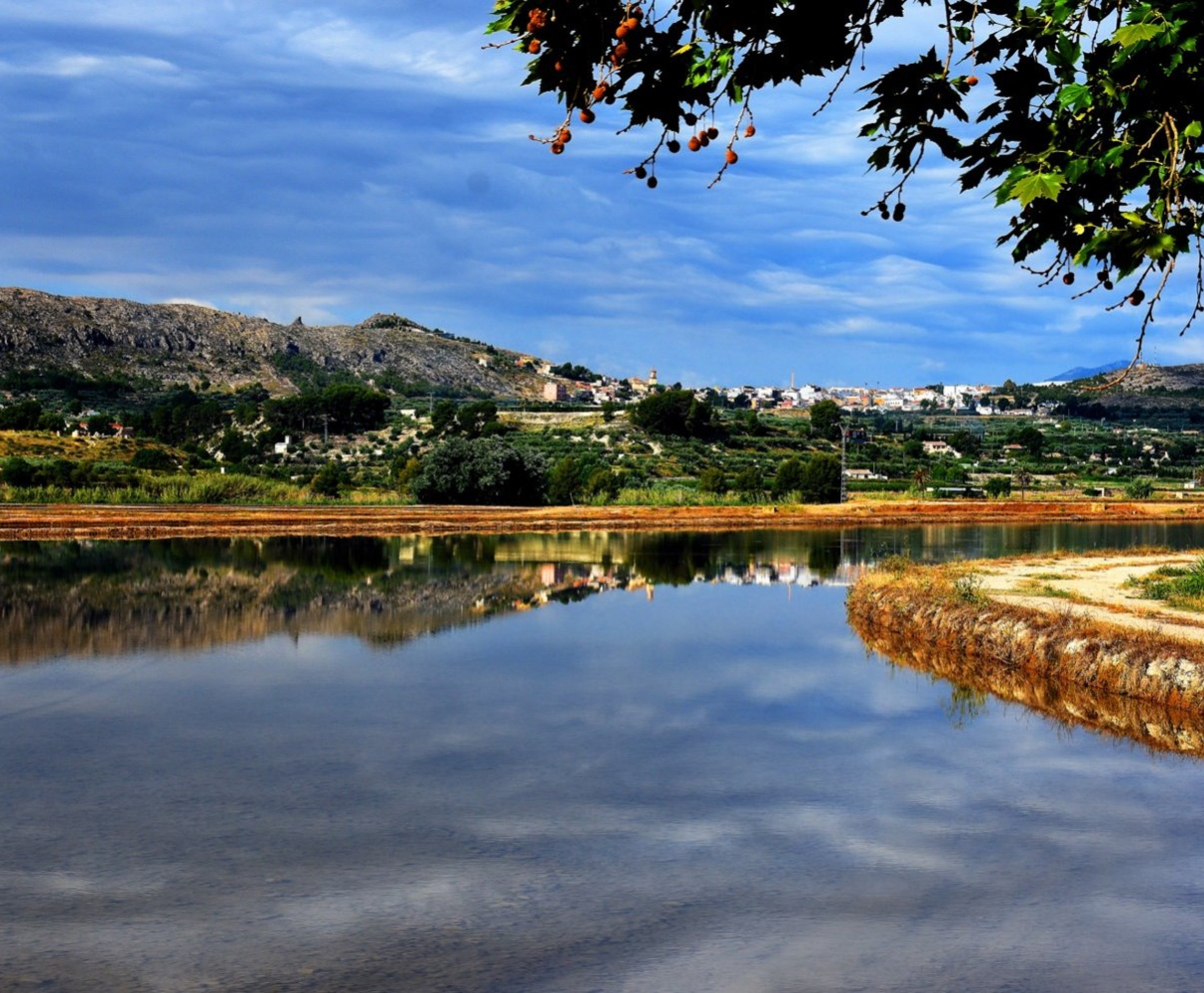 Nybyggnation - Villa - Calasparra - Coto Riñales