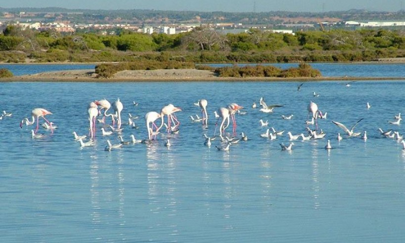 Nybyggnation - Villa - San Pedro del Pinatar - Pueblo