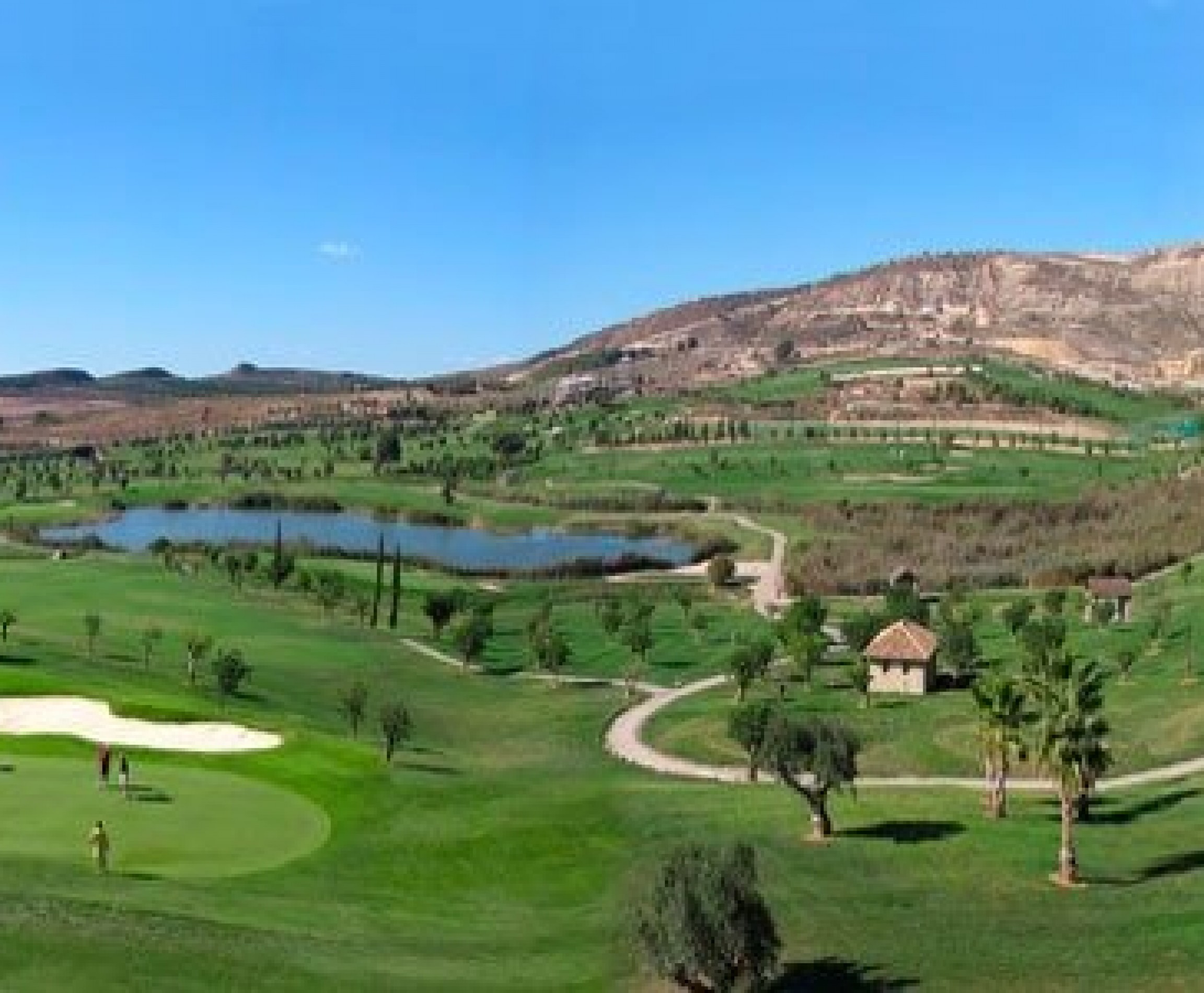 Nueva construcción  - Villa - Algorfa - El Campo de Golf La Finca