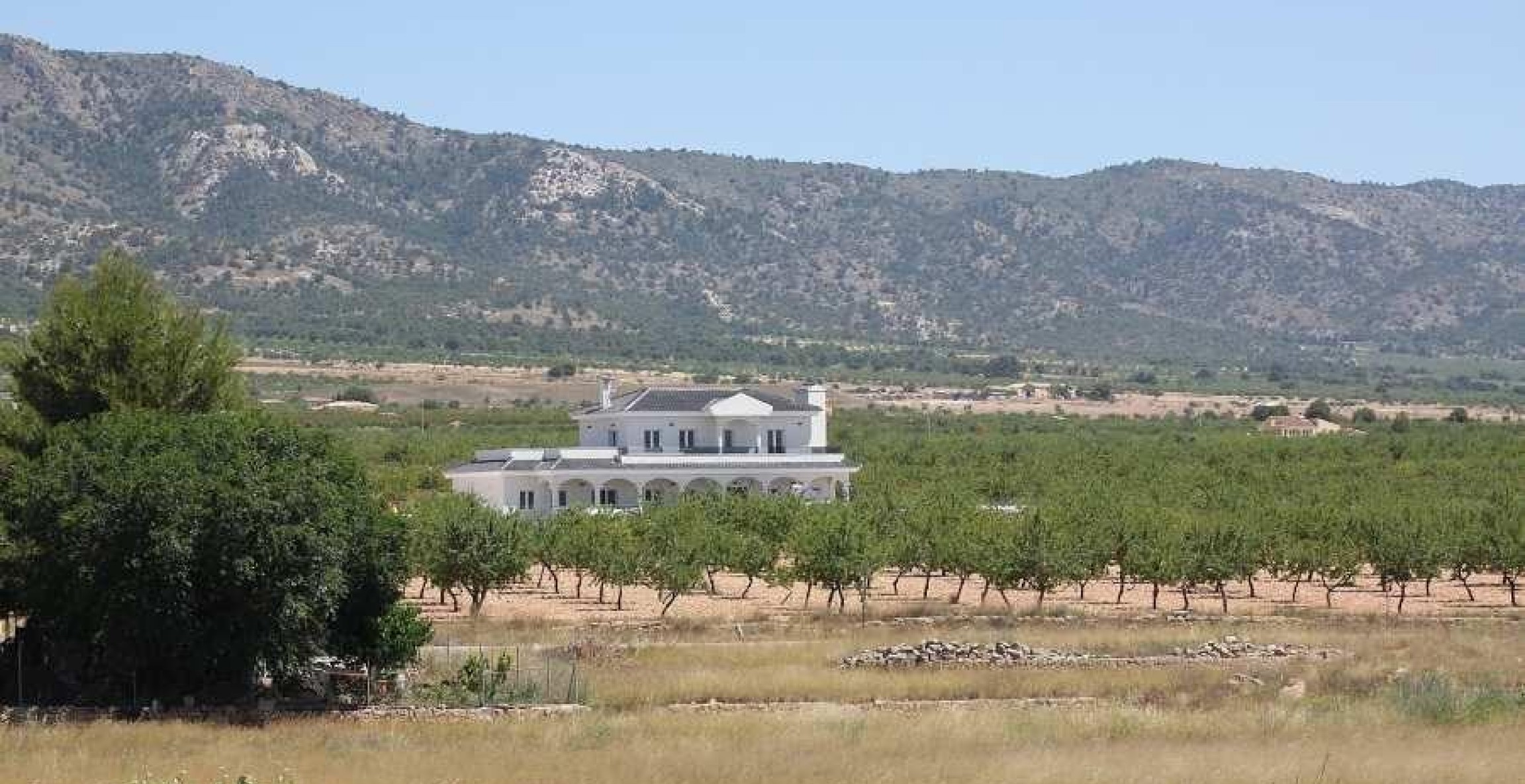 Nueva construcción  - Villa - Pinoso - Camino Del Prado