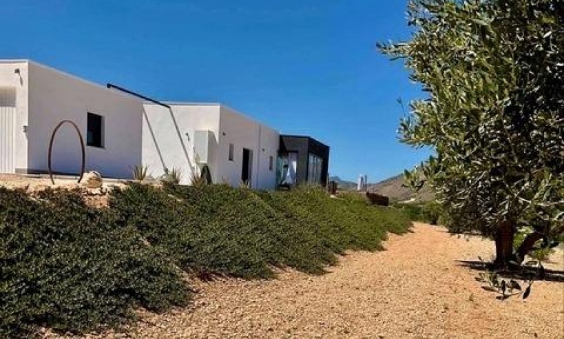 New Build - Villa - Jumilla - Torre del Rico