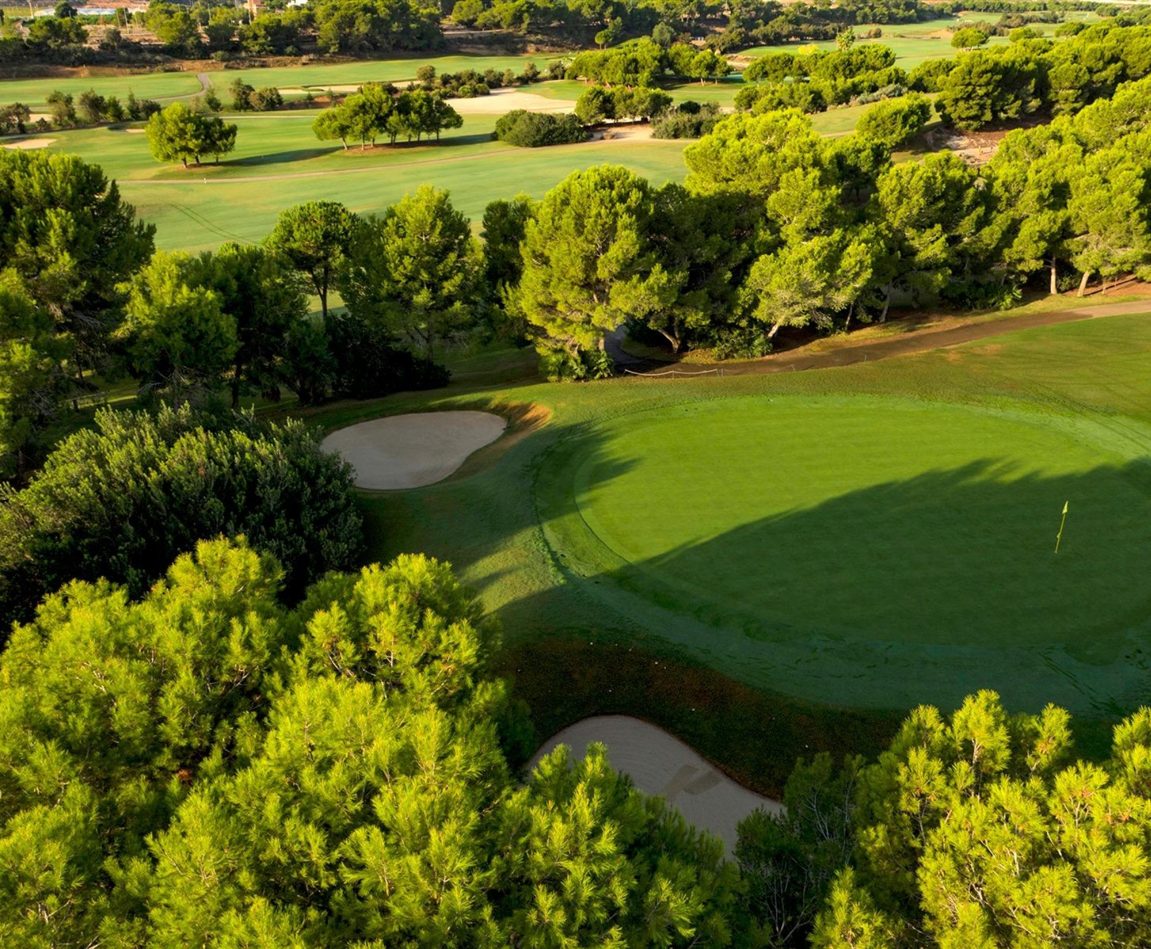 Nueva construcción  - Villa - Pilar de la Horadada - Lo Romero Golf