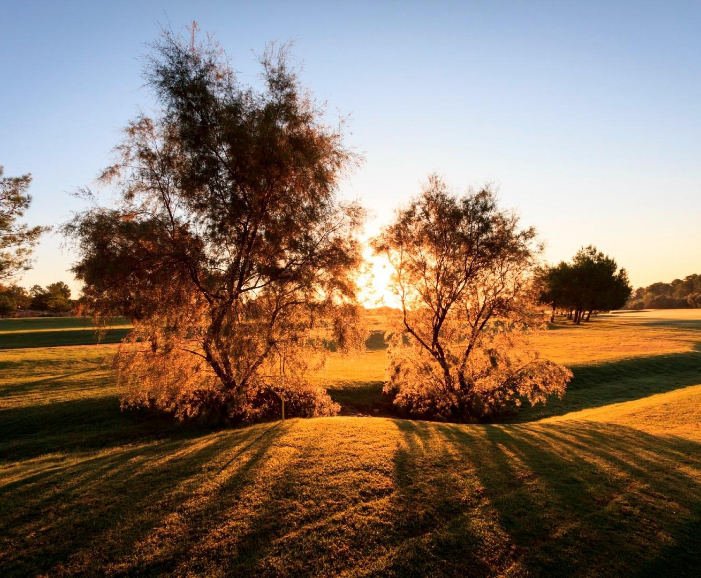 Nueva construcción  - Villa - Pilar de la Horadada - Lo Romero Golf