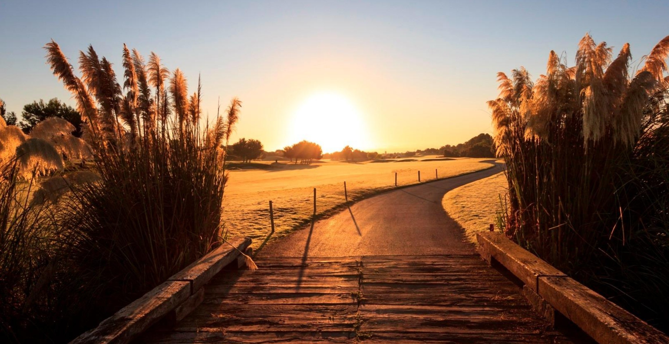 Nueva construcción  - Villa - Pilar de la Horadada - Lo Romero Golf