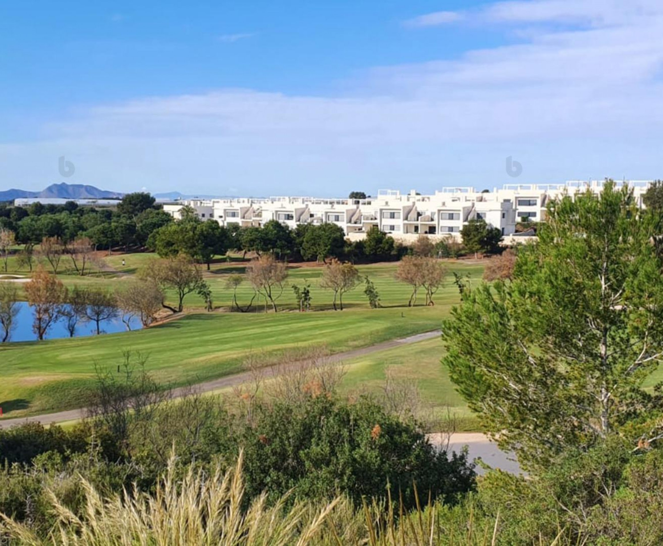 Nueva construcción  - Villa - Pilar de la Horadada - Lo Romero Golf