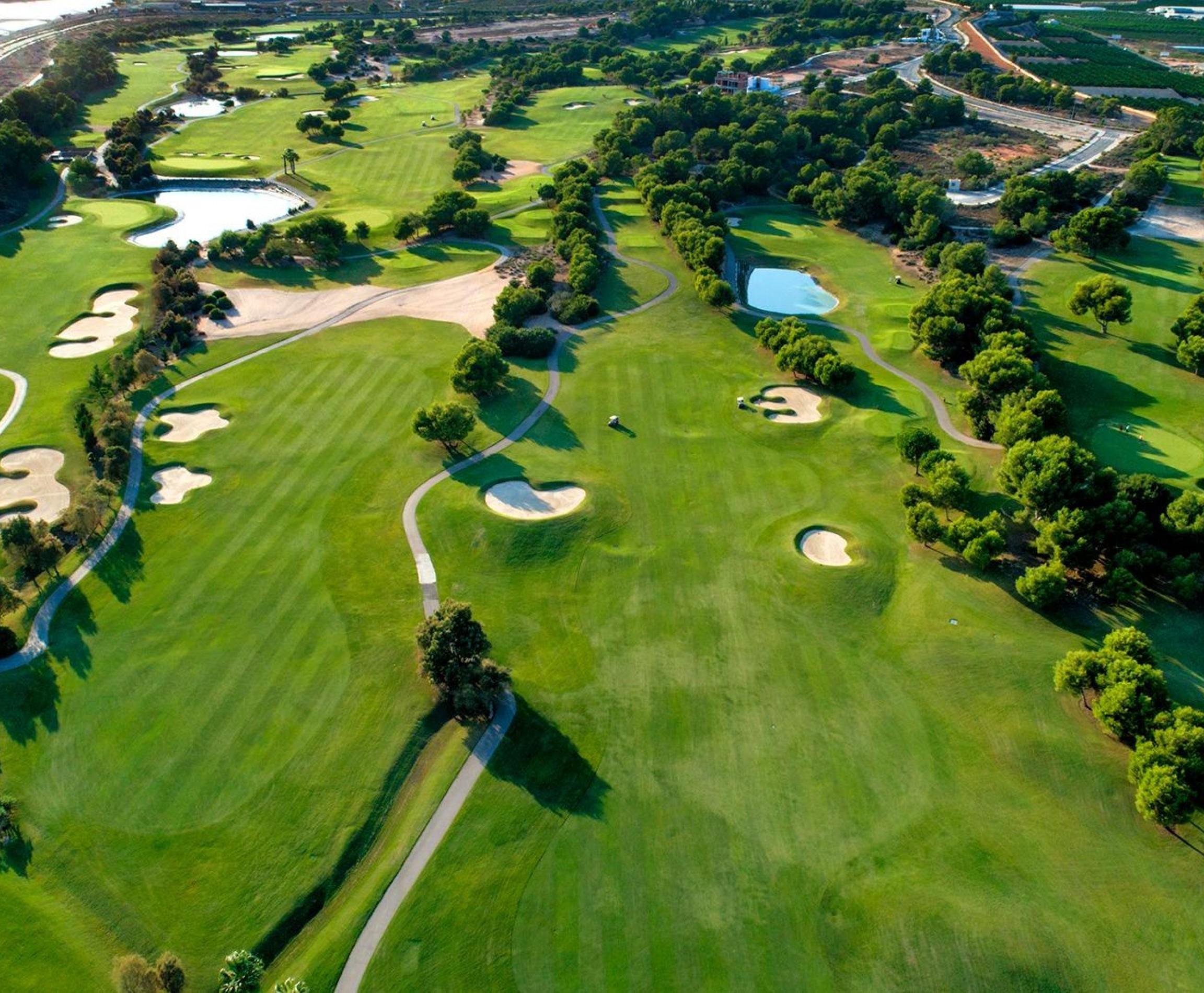 Nueva construcción  - Villa - Pilar de la Horadada - Lo Romero Golf