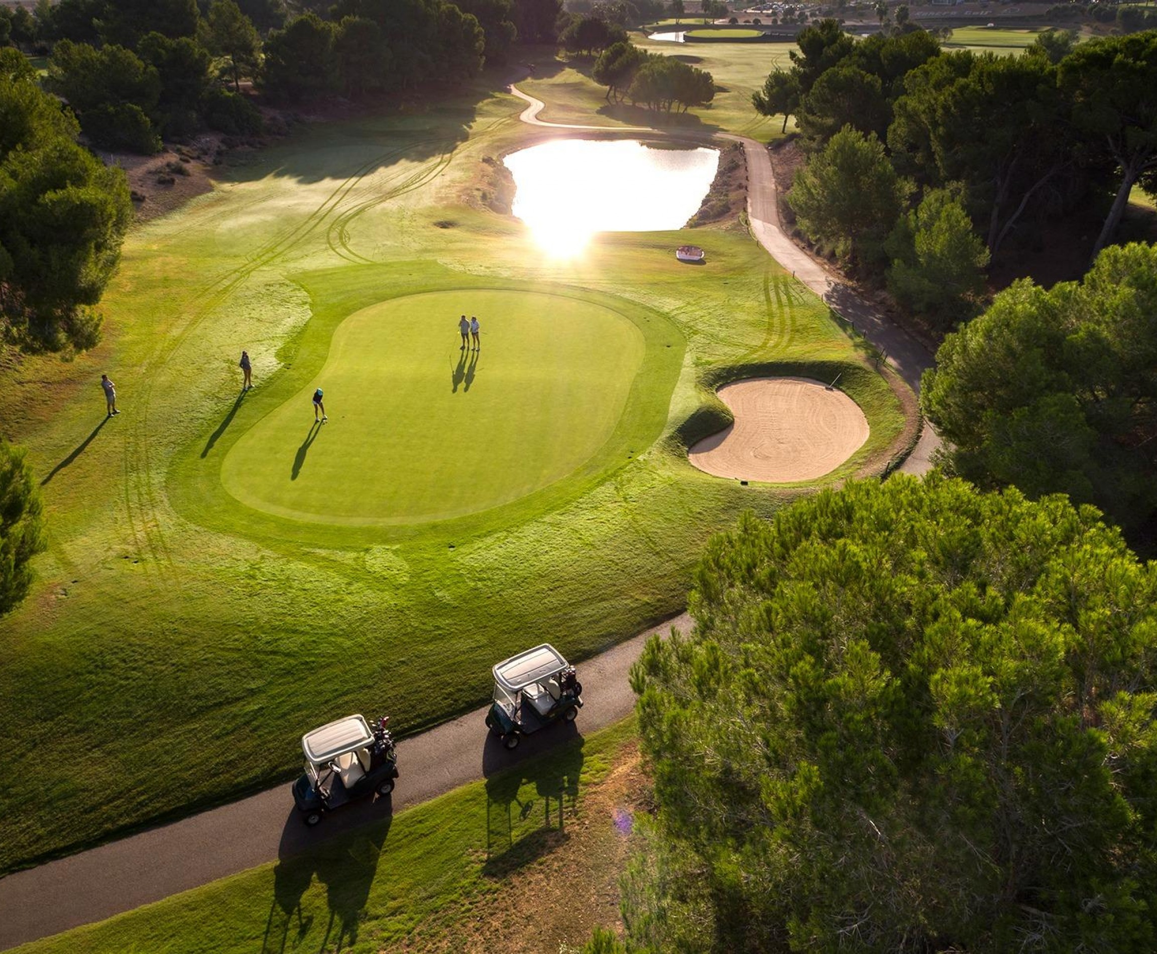 Nueva construcción  - Villa - Pilar de la Horadada - Lo Romero Golf