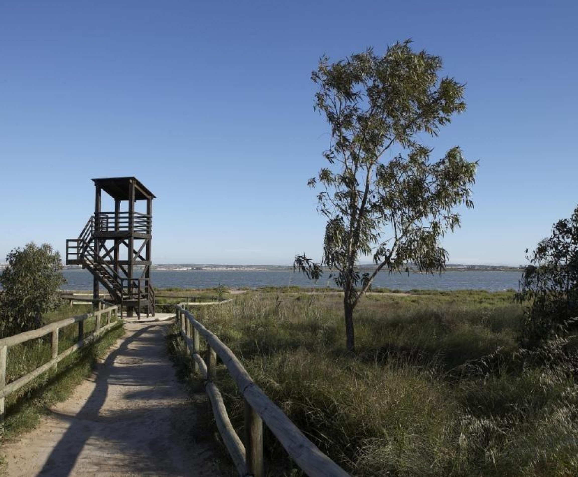 Nueva construcción  - Ático - San Miguel de Salinas - Pueblo