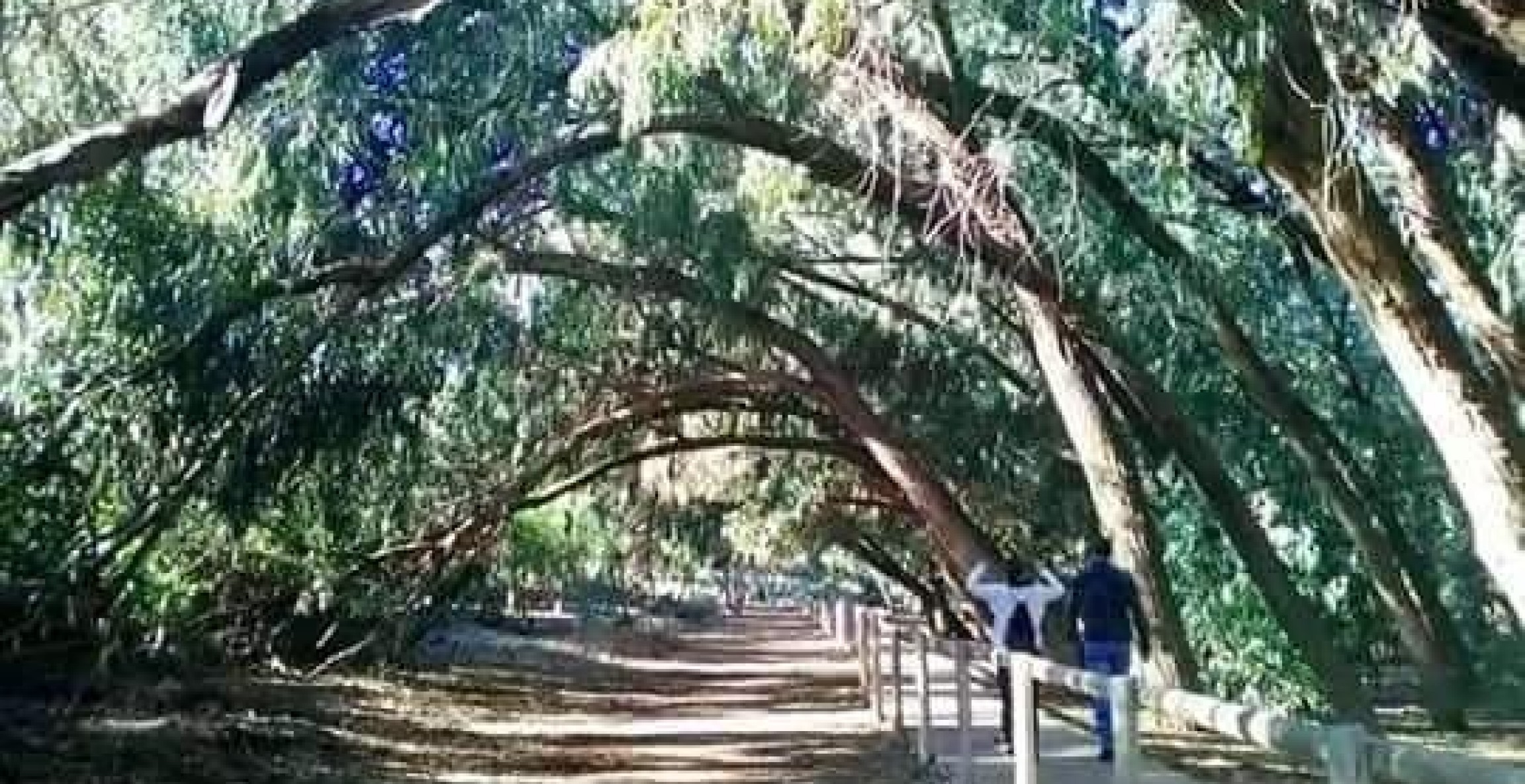 New Build - Bungalow - Torrevieja - Altos del Sol