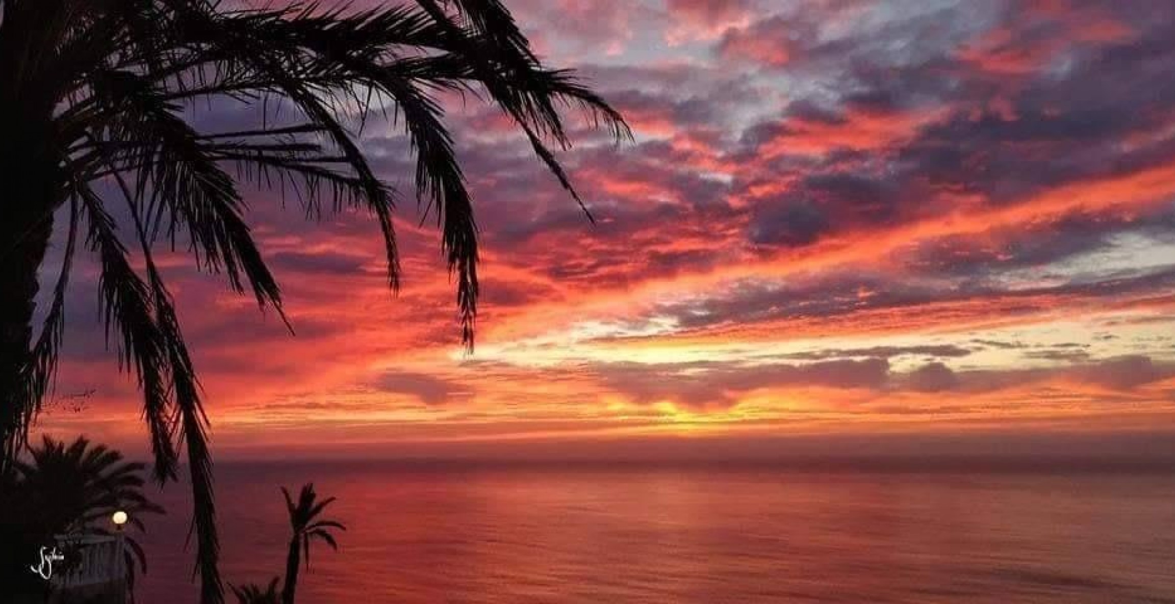 New Build - Bungalow - Torrevieja - Altos del Sol