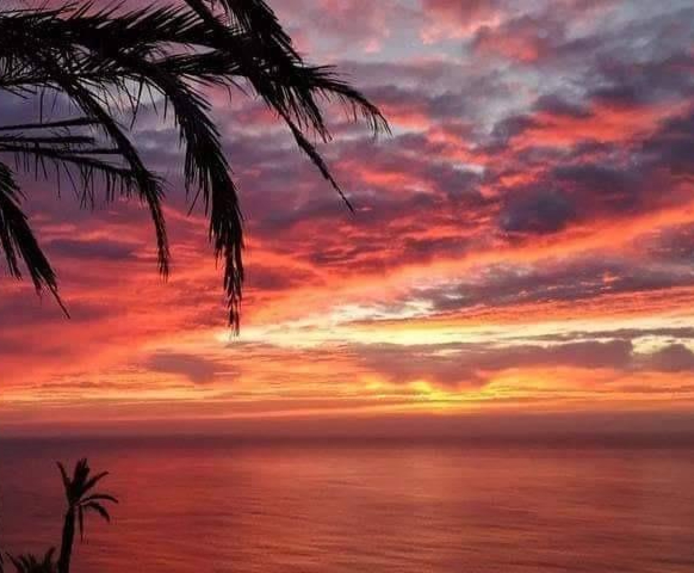 New Build - Bungalow - Torrevieja - Altos del Sol