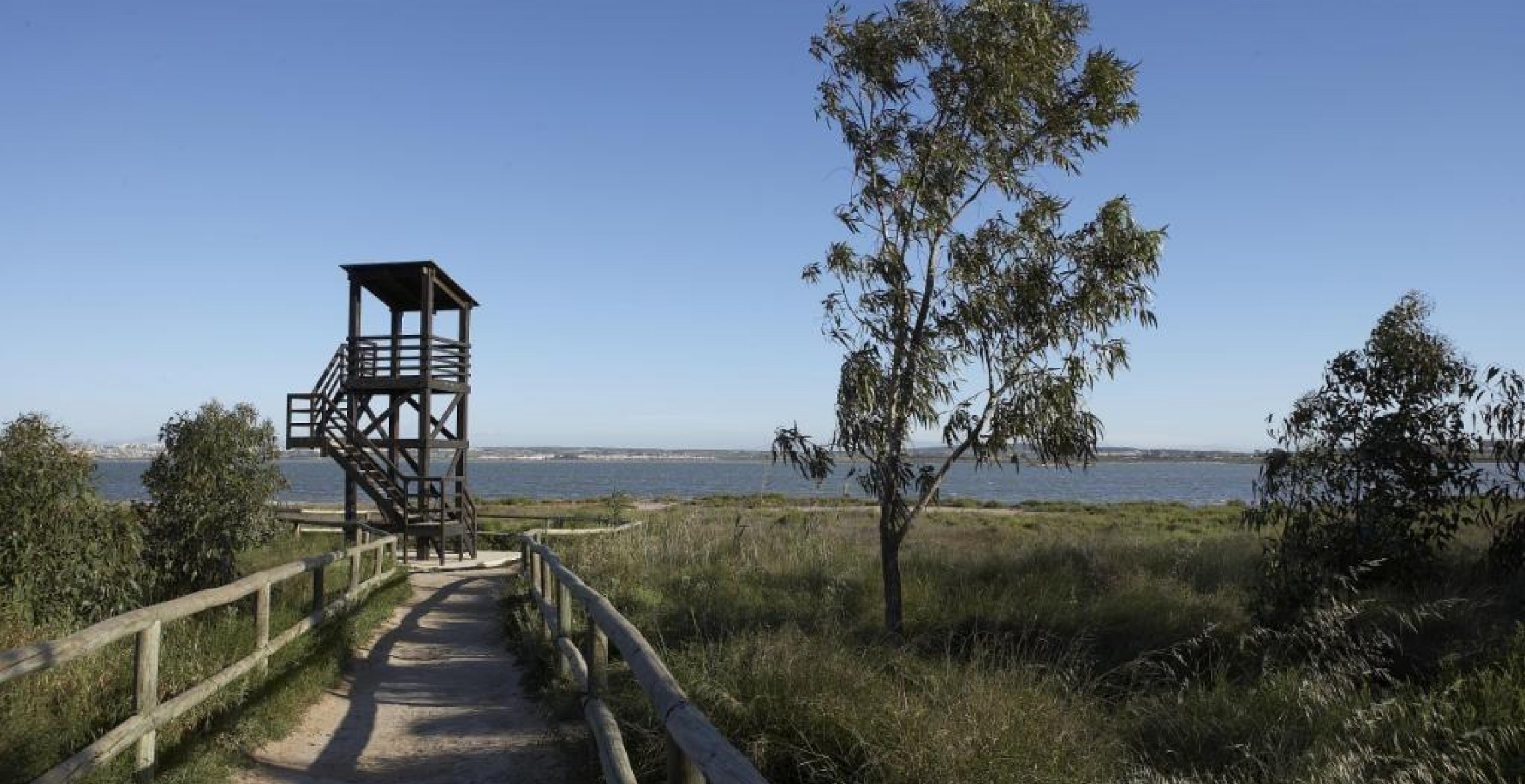 New Build - Bungalow - Torrevieja - Altos del Sol