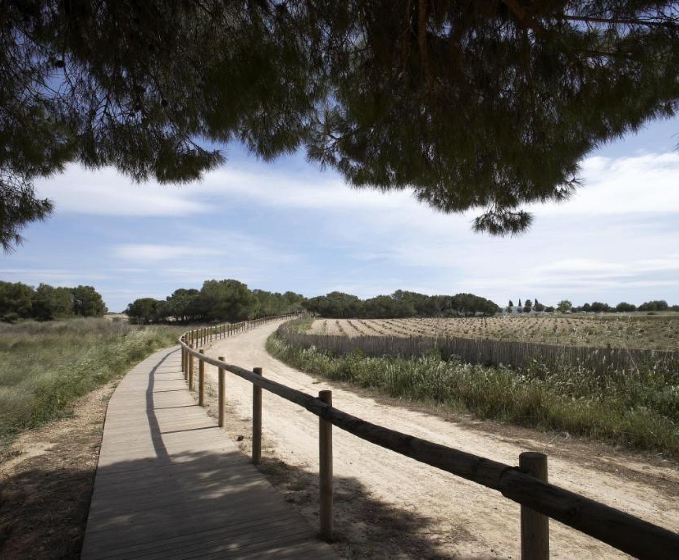 New Build - Bungalow - Torrevieja - Altos del Sol